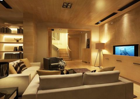 TV Lift smart home TV Lifts